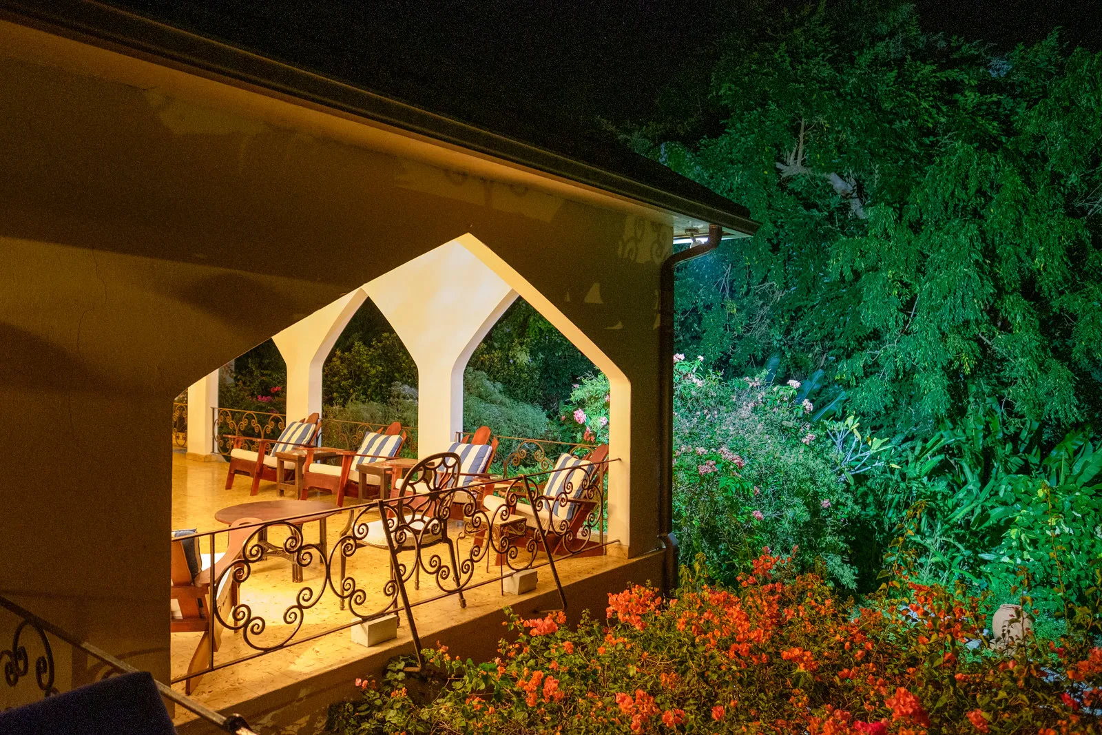 MycoMeditations Location Retreat Jamaica