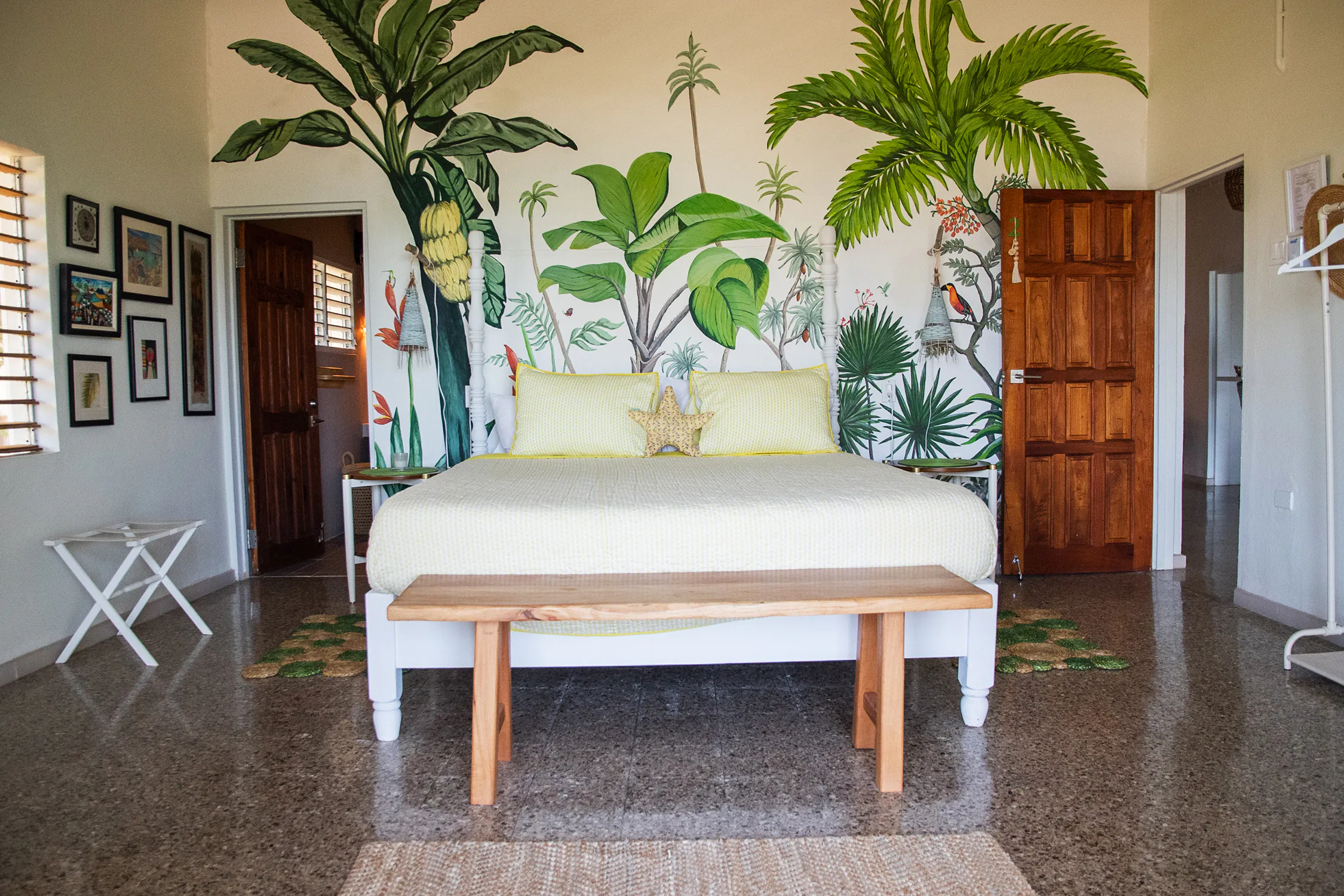 MycoMeditations Location Retreat Jamaica