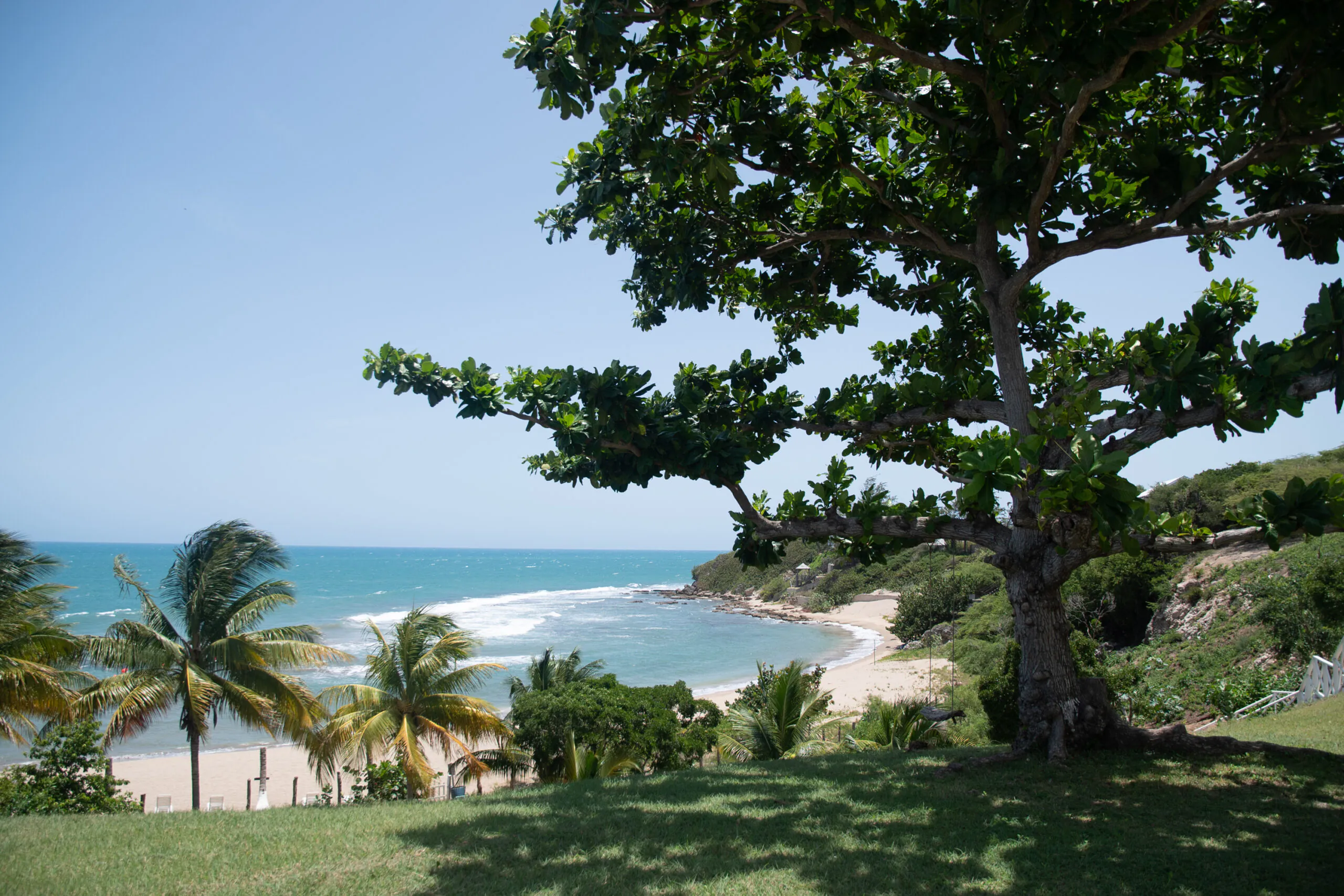MycoMeditations Location Retreat Jamaica