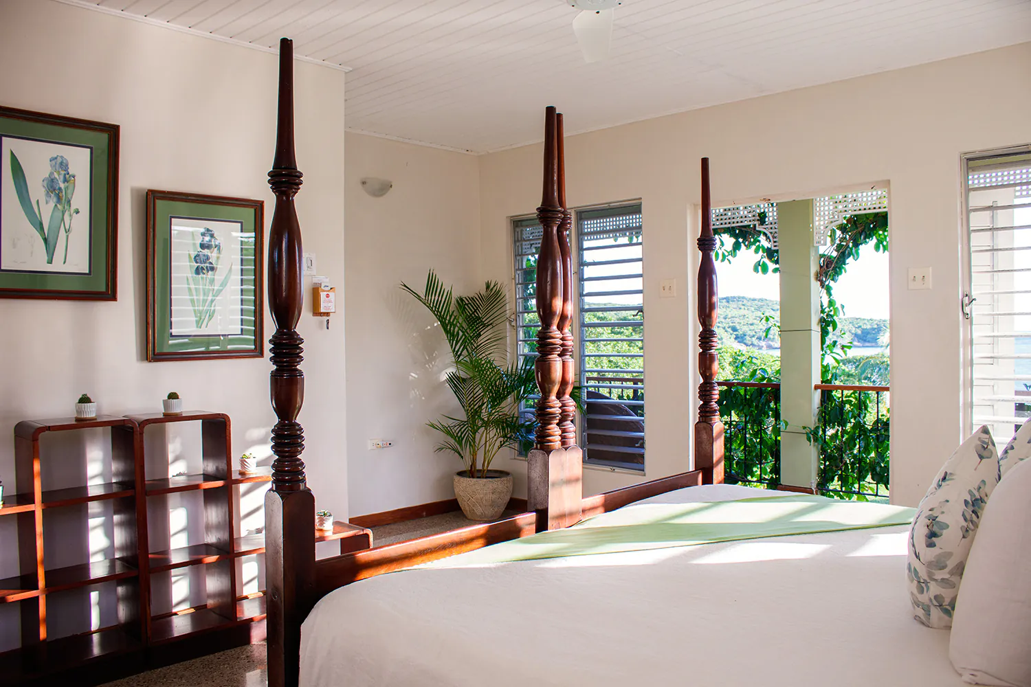 MycoMeditations Location Retreat Jamaica