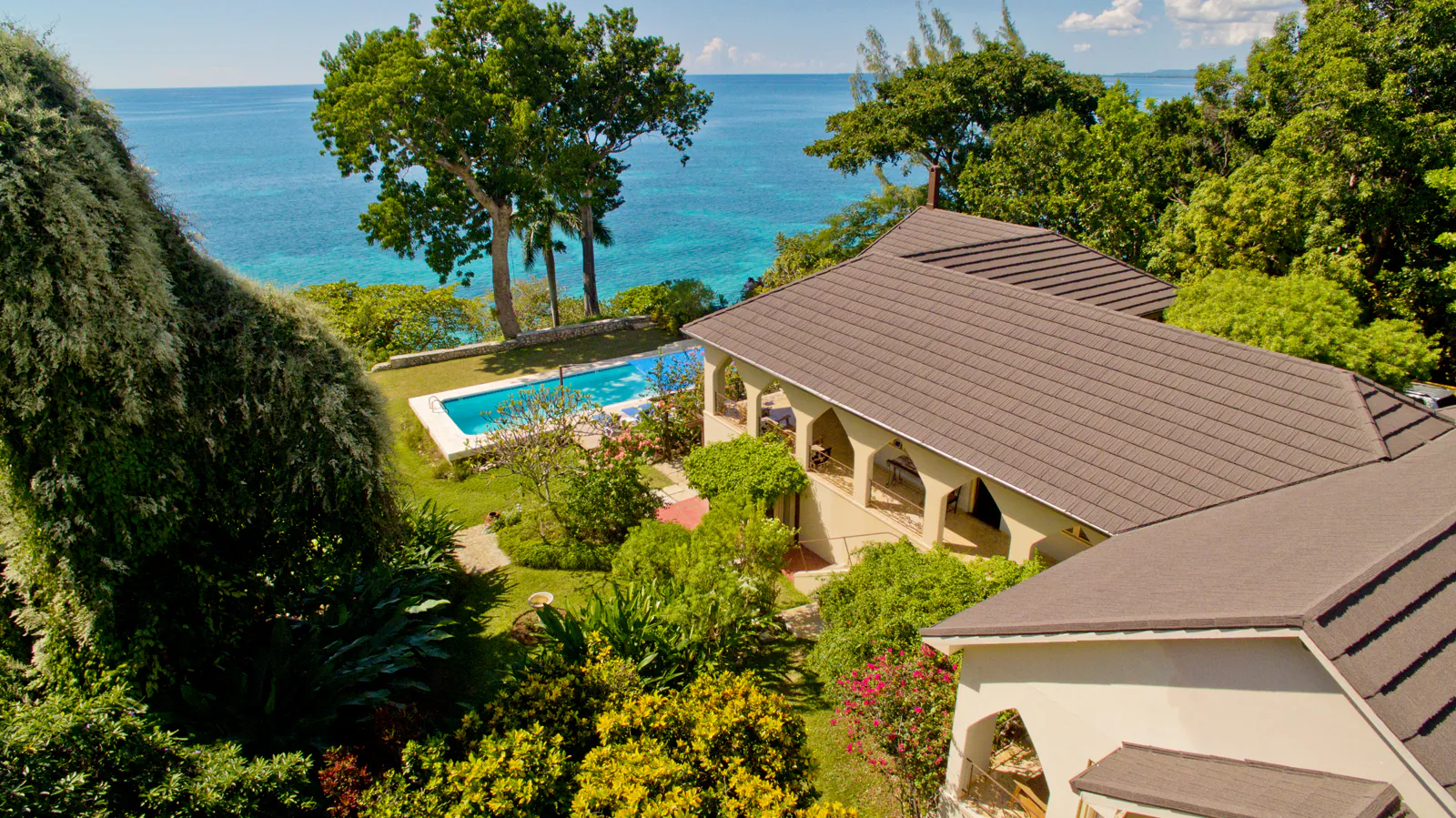 MycoMeditations Location Retreat Jamaica