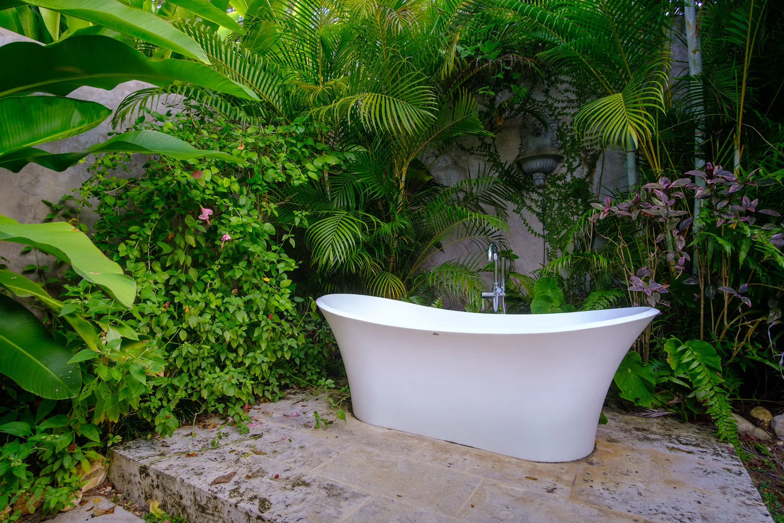 MycoMeditations Location Retreat Jamaica