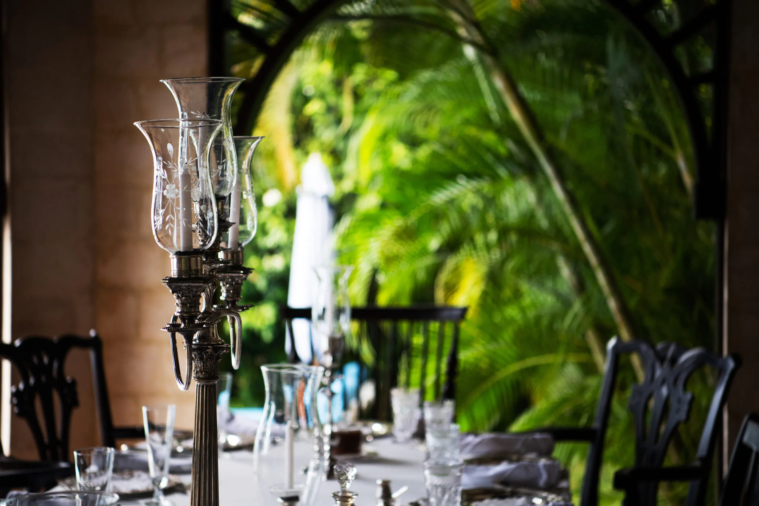MycoMeditations Location Retreat Jamaica